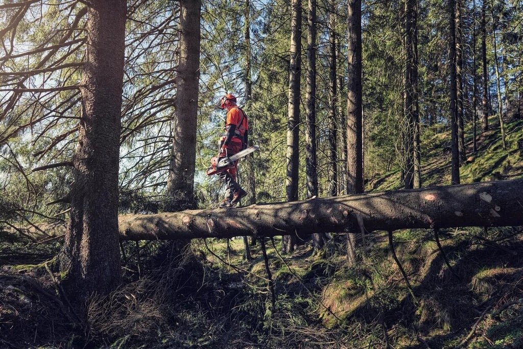 Husqvarna 572 XPG (50 cm)